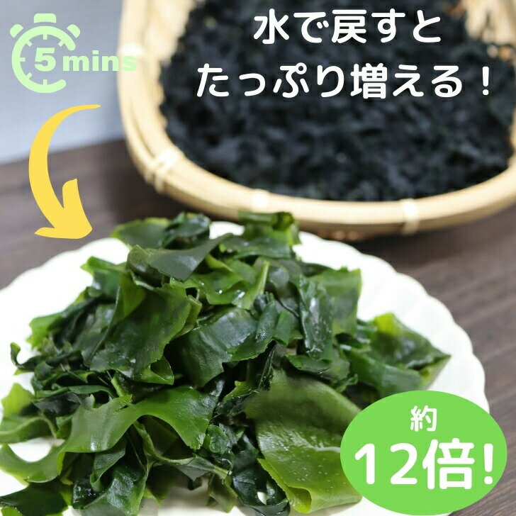 九州産 カットわかめ 【 お得 な 100g × 2袋 セット 】 200g 国産 乾燥わかめ カットワカメ 若布 無添加 無着色 【 送料無料 】 チャック付き袋入 お徳用 乾物 スープ 味噌汁 サラダ