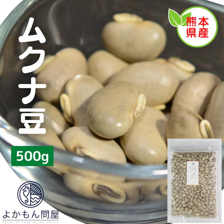 熊本産 生ムクナ豆 500g 【 送料無料 】 国産 L-ドーパ Mucuna ムクナ 八升豆 チャック付