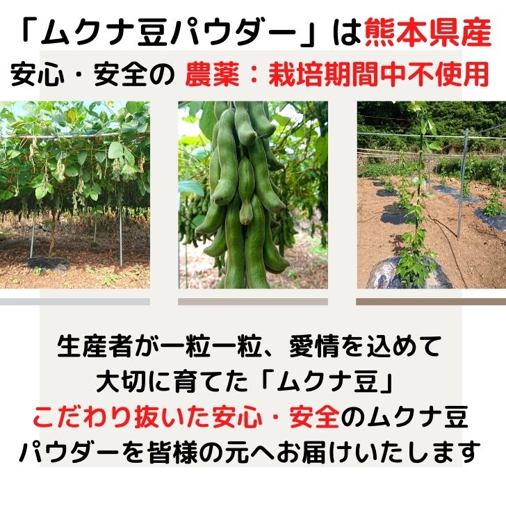 熊本産 ムクナ豆 3種類 セット パウダー 100g & 焙煎 ムクナ豆 茶 ( 3g×18包入 ) & ムクナ豆 500g お得 な 3点 セット 国産 Mucuna ムクナ 八升豆 粉末 L-ドーパ含有 国産 ノンカフェイン チャック付