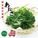 【 お買い物マラソン SALE 200円OFF 】 あおさ 50g 天草産（ あおさ海苔 ） ヒトエグサ 【 送料無料 】 国産 九州 熊本 チャック付袋入