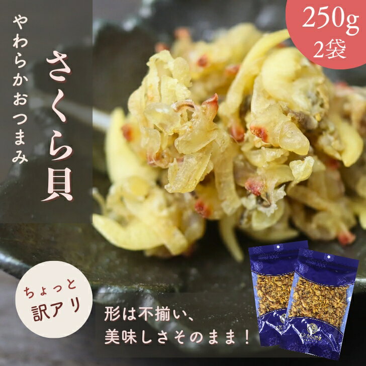  㤤ʪޥ饽 SALE 50OFF  餫̣ 鳭 500g    250g  2 å  ...