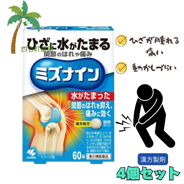【第2類医薬品】 ミズナイン [4個セット] M:4987072100264