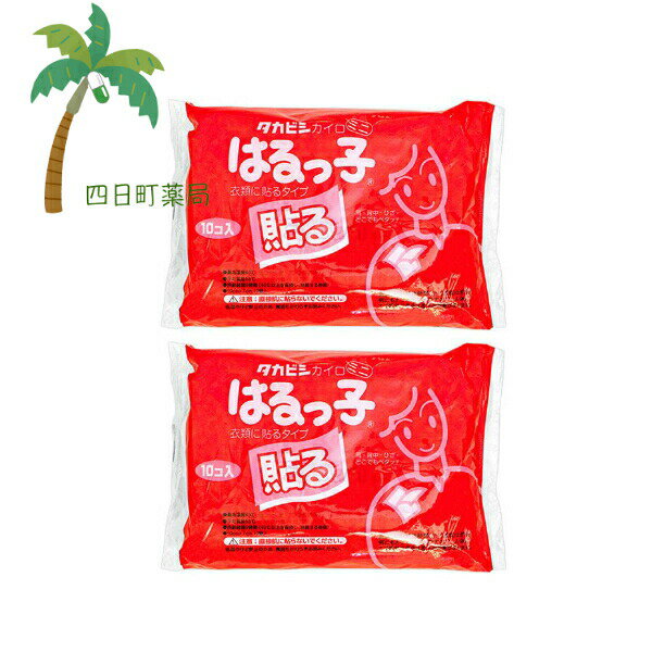 カイロ タカビシ化学 貼るッ子 ミニパック(10入) [2個セット] 使い捨てカイロ はるっこ ホッカイロ 貼る 防寒 日本製 寒さ対策 冬 冷え あったかグッズ ほかほか 温活 あったかい C:4904581831120