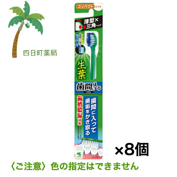 生葉 歯間に入るブラシ コンパクト ふつう 1本 [8個セット] (色の指定はできません) 小林製薬 はみがき スパイラル毛 歯石 奥歯 しっか..