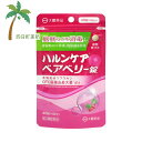 【第2類医薬品】ハルンケア ベアベリー錠 48錠 (4日分) M:4987117613100