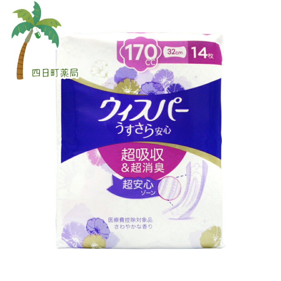 ѡ ¿  ۿ奱 170cc Ĺ֡Ǥ¿(14) T:4902430881616