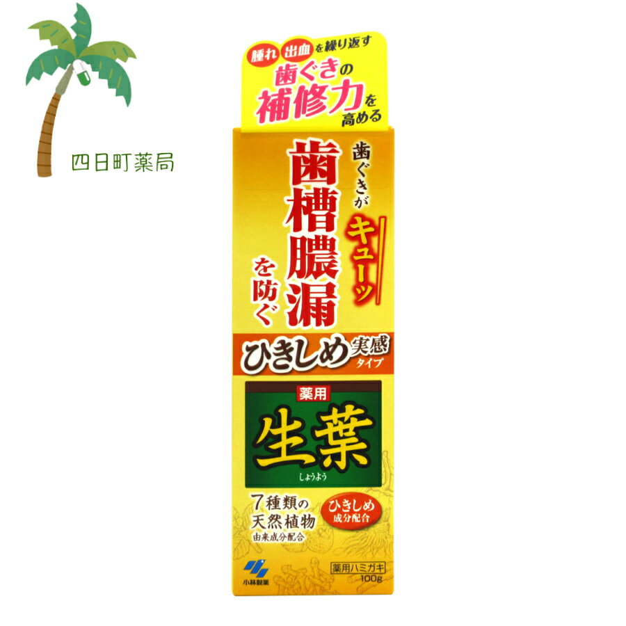 薬用ハミガキ ひきしめ生葉 100g M:4987072072752 小林製薬