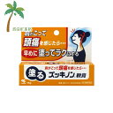 【第3類医薬品】塗るズッキノン軟膏(15g) M:4987072083239