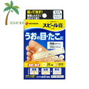 【第2類医薬品】【ニチバン】スピール膏 EX50 SP-K (1枚入) M:4987167028985