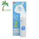 【指定医薬部外品】泡で消毒するスプレー50g C:4573177597759