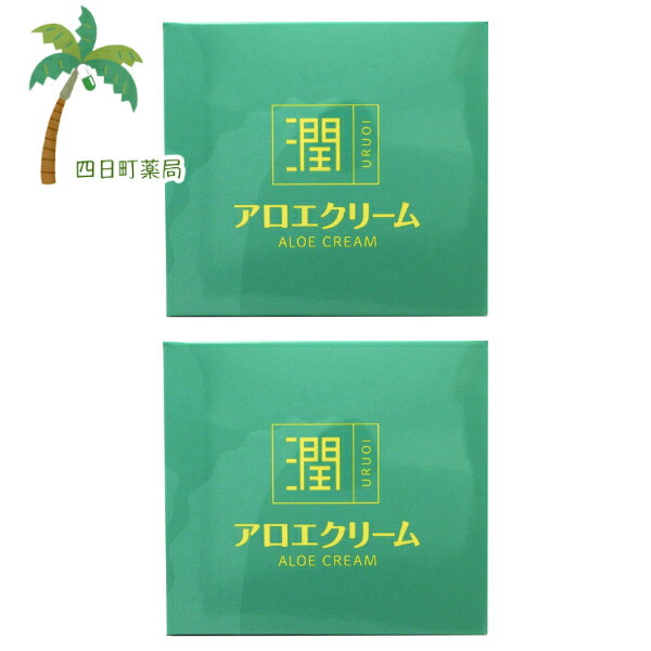 【スーパーSALE限定10%OFF】【楽天Pay利用でP10倍】アロエクリーム 潤 (うるおい) 145g [2個セット] 【東京甲子社】 C:4987145500021