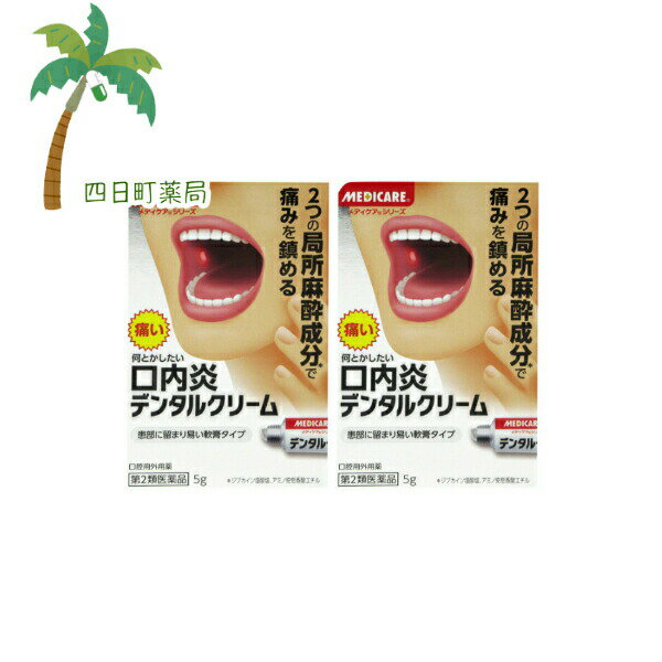 【第2類医薬品】デンタルクリーム 5g [2個セット] M:4987227035267
