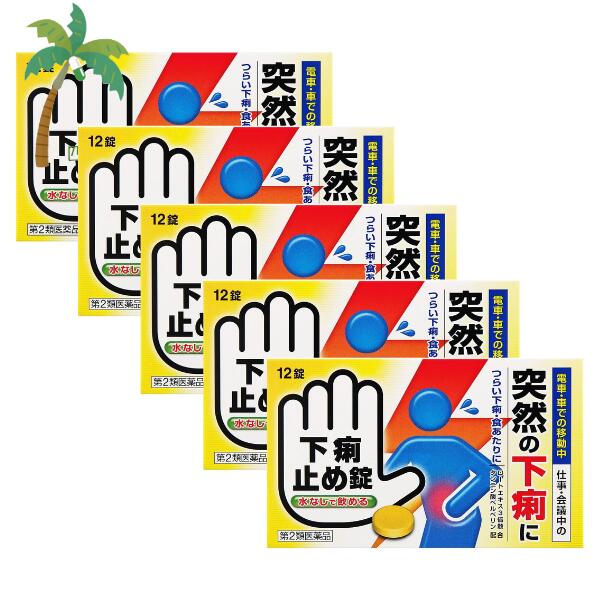 【第2類医薬品】下痢止め錠「クニヒロ」 12錠 [5個セット] M:4987343100511