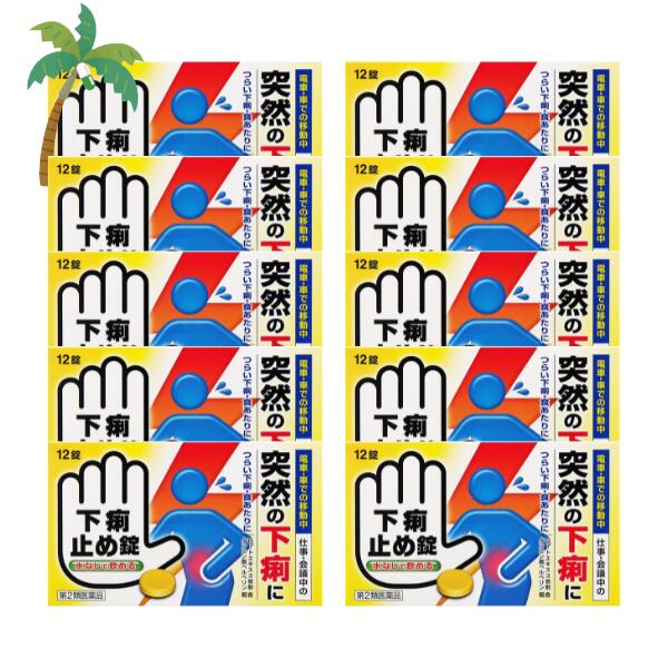 【第2類医薬品】下痢止め錠「クニヒロ」 12錠 [10個セット] M:4987343100511