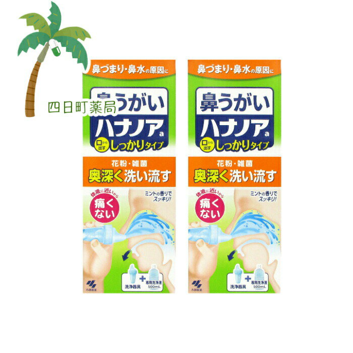 【一般医療機器】 ハナノアa 洗浄器具＋鼻用洗浄液500mL (1セット) 鼻うがい 2個セット 【小林製薬】 T:4987072061282