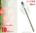【送料無料】 リング支柱 90cm 10個セット 【まとめ買い】 【業務用】 朝顔 あさがお エンドウ ナス 茄子 トマト とまと きゅうり キュウリ ダリア ...
