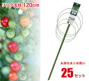 【送料無料】 リング支柱 120cm 25個セット 【まとめ買い】 【業務用】 朝顔 あさがお エンドウ ナス 茄子 トマト とまと きゅうり キュウリ ダリア...