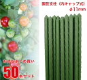 【送料無料】 園芸支柱 径11mm 50本 セット 【まとめ買い】 【業務用】 鋼管竹 鋼管支柱 イボ竹 園芸 支柱 農業用 農業資材 花 野菜 畑 庭 ガーデ...