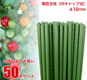 【送料無料】 園芸支柱 径16mm 50本 セット 【まとめ買い】 【業務用】 鋼管竹 鋼管支柱 イボ竹 園芸 支柱 農業用 農業資材 花 野菜 畑 庭 ガーデ...