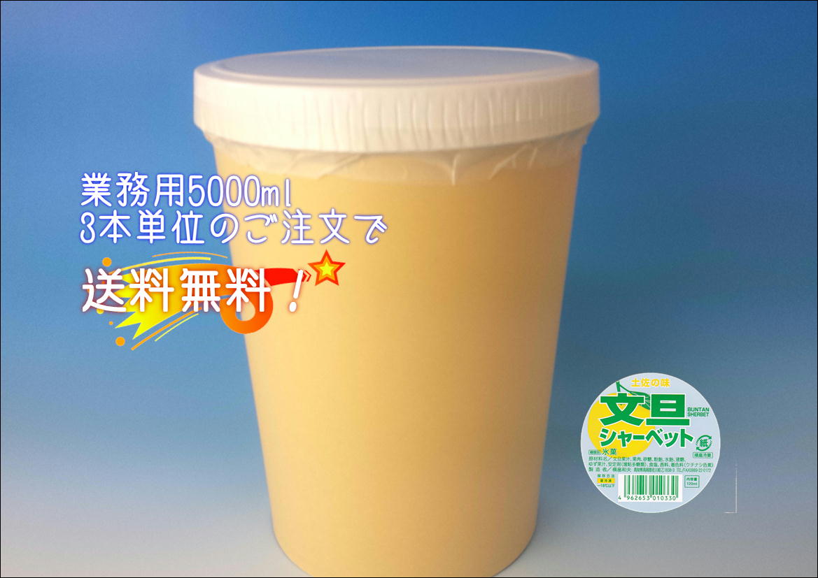  文旦シャーベット 5000ml  3本単位のご注文で送料無料!