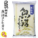 限定米☆お米マイスター厳選米☆十日町指定松代棚田米 令和5年産 新潟県 魚沼産 コシヒカリ 5kg 白米 精米 米杜氏 お米 ギフト 新潟産 コシヒカリ 魚沼産 精米仕立て発送 産地直送米 低温倉庫管理米 新潟 米 数量限定米