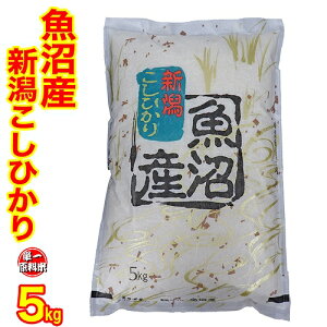 送料無料（特A1等米使用） 令和元年産 新潟 魚沼産 コシヒカリ 5kg （食味分析80点以上）（産地直送米） 白米 精米 お米 ギフト 新潟産 コシヒカリ 新潟 コシヒカリ 新潟県産 コシヒカリ 魚沼産 コシヒカリ 新潟 の お米 ギフト