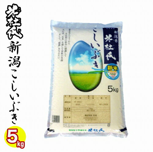 新潟ブランド米 令和3年産 新潟県産 こしいぶき 5kg　白米 精米 （米杜氏）　新潟 こしいぶき コシイブキ 新潟県産こしいぶき 精米日の新しいお米です 送料無料 新潟ブランド米