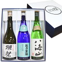 人気銘酒飲み比べセット 720ml×3本【獺祭 純米大吟醸 磨き45　越乃寒梅 灑(さい)純米吟醸 純米大吟醸 八海山】お歳暮 日本酒 飲み比べセット 還暦祝い ギフト お歳暮 新潟 八海醸造 日本酒 セット 八海山 獺祭飲み比べ 日本酒 飲み比べセット お歳暮