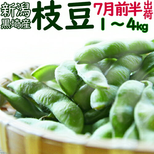 ☆数量限定特価（朝採り農園直送便 ）高級新潟ブランド 本場 人気 黒埼 枝豆 7月前半発送 A級品 1kg ～ 4kg 新潟黒埼産 朝どり 黒埼 枝豆 黒崎 新潟 枝豆お中元ギフト 新潟 お土産 枝豆 ギフト 【送料無料クール便発送いたします】枝豆 美味しい お中元