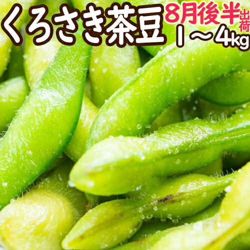 ☆数量限定特価（朝採り農園直送便）新潟ブランド 本場 人気 黒埼 茶豆 GIマーク 8月後半発送 A級品 1kg ～ 4kg くろさき 茶豆 新潟 黒埼産 茶豆 新潟 茶豆 新潟 枝豆 美味しい お中元 ギフト 新潟 名産 新潟 お土産 送料無料クール便発送致します えだまめのサムネイル