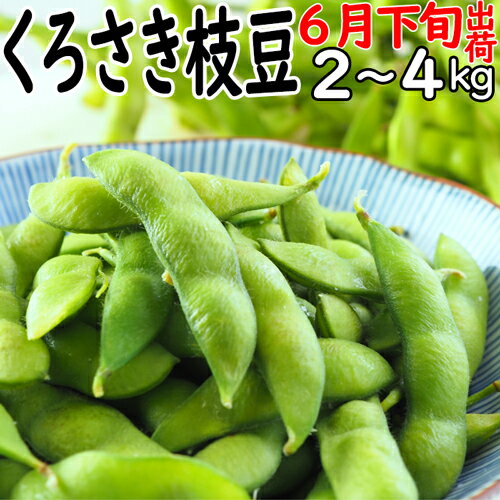 ☆数量限定特価（板井地区農園朝採り直送便）高級新潟ブランド 本場 人気 黒埼 枝豆 6月下旬発送 A級品 2kg ～ 4kg くろさき枝豆 朝どり枝豆 黒崎 くろさき えだ豆 黒崎 新潟 お土産 新潟 名産 枝豆 お中元 ギフト 枝豆 ギフト 送料無料クール便 お中元 枝豆 美味しい
