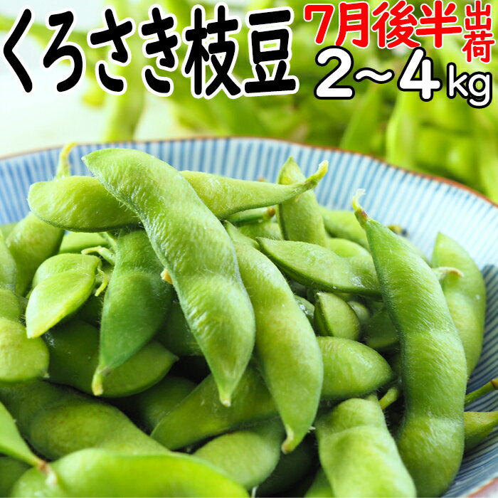 ☆（板井地区農園朝採り直送便）高級新潟ブランド 本場 人気 黒埼 枝豆 7月後半発送 A級品 2kg ～ 4kg くろさき枝豆 朝どり枝豆 黒崎 くろさき えだ豆 黒崎 新潟 お土産 新潟 名産 枝豆 お中元 ギフト 枝豆 ギフト 送料無料クール便 お中元 枝豆 美味しいのサムネイル