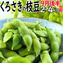 ☆数量限定特価(板井地区農園朝採り直送便)高級新潟ブランド 本場 人気 黒埼 枝豆 9月後半発送 A級品 2kg 〜 3kg くろさき枝豆 朝どり枝豆 黒崎 く...