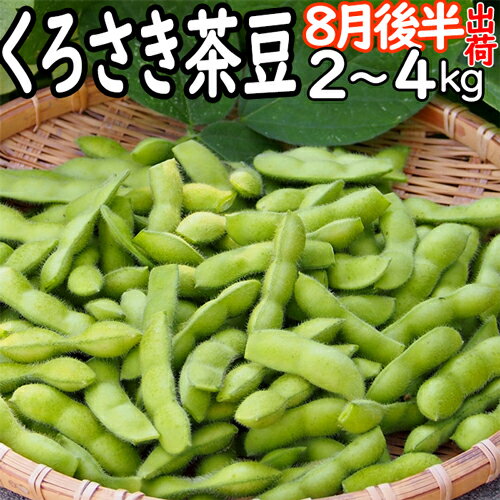☆数量限定特価（板井地区農園朝採り直送便）新潟ブランド 本場 黒埼人気 黒埼茶豆 GIマーク 8月後半発送 A級品 2kg ～ 4kg くろさき茶豆 朝採り 新潟黒埼 板井産 黒埼 茶豆 黒崎 くろさき 新潟 茶豆 黒崎茶豆 枝豆 ギフト お中元 ギフト 新潟 茶豆 送料無料クール便発送のサムネイル
