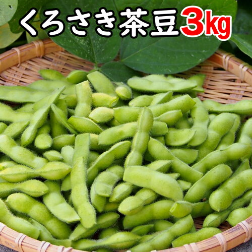 ☆数量限定特価（板井地区農園朝採り直送便）新潟ブランド 本場 黒埼人気 黒埼茶豆 GIマークA級品 3kg くろさき茶豆 朝採り 新潟黒埼 板井産 黒埼 茶豆 黒崎 くろさき 新潟 茶豆 黒崎茶豆 枝豆 ギフト お中元 ギフト 新潟 茶豆 送料無料クール便発送 枝豆 美味しいのサムネイル