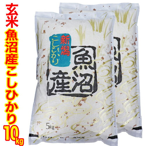 異物除去調整済み玄米 令和5年産 新潟 魚沼産 コシヒカリ 