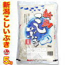 新米特価【1等米】令和元年産 新潟産 こしいぶき 5kg (産地直送米）　新潟 こしいぶき 新潟県産 こしいぶき コシイブキ 新潟 白米 精米 5キロ 新米 こしいぶき 新潟