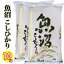 あす楽★新潟ブランド米セール中 令和5年産 魚沼産 コシヒカリ 10kg (5kg×2) (産地直送米) 精米 白米 新潟県産 コシヒカリ 魚沼産 新潟産 コシヒカリ 新潟 お土産 新潟 米 お米 ギフト 魚沼産コシヒカリ 精米仕立て発送 低温倉庫管理精米