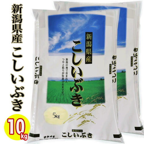 （新潟ブランド米）(新潟産直米) 令和3年産 新潟県産 こしいぶき 10kg (5kg×2) 白米 精米 新潟産 こしいぶき お米 新潟 お土産 お米 10キロ 新潟 こしいぶき 精米日の新しいお米です。 あす楽 送料無料 お米 1等米