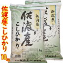 お勧め☆五ツ星お米マイスター厳選 新潟佐渡島希少流通離島米） 令和5年産 新潟県 佐渡産 コシヒカリ ...