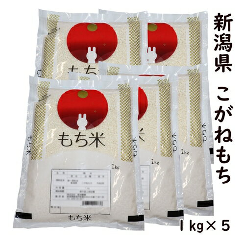 ★当店お勧め★令和7年産新潟県産こ...