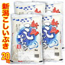 ☆五ツ星お米マイスター厳選米 令和5年産 新潟県産 こしいぶき 20kg（5kg×4）食味分析80点以上 白米 精米（産地直送米）新潟産 こしいぶき 新潟産 こしいぶき 新潟 白米 精米 20キロ こしいぶき 新潟 こしいぶき お米 新潟ブランド米 送料無料 お米 低温倉庫管理米