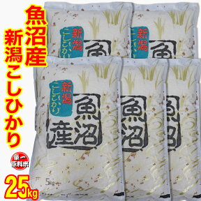 五ツ星お米マイスター厳選米 令和5年産 新潟 魚沼産 コシヒカリ 25kg (5kg×5) 白米 精米 食味分析80点以上の精米仕立て発送 （産地直送米） 魚沼産 コシヒカリ 新潟産 コシヒカリ 新潟県産 コシヒカリ 新潟 コシヒカリ 魚沼産 コシヒカリ 低温倉庫管理