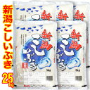 ☆五ツ星お米マイスター厳選米 令和5年産 新潟県産 こしいぶき 25kg（5kg×5）食味分析80点以上 白米 精米（産地直送米）新潟産 こしいぶき 新潟産 こしいぶき 新潟 白米 精米 25キロ こしいぶき 新潟 こしいぶき お米 新潟ブランド米 送料無料 お米 低温倉庫管理米