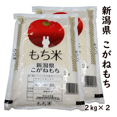 ★当店お勧め★【もち米の王様】 令和5年産 新潟県産 こがねもち 2kg×2 精米 白米 【100％単一原料米】新潟産 こがねもち 最高級品もち米 赤飯 お正月 おもち 餅 新潟 餅米 おこわ 産地直送米 精米日の新しいお米です 低温倉庫管理米