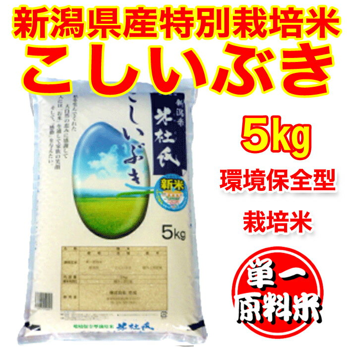 （産地直送米） 送料無料 特別栽培米1等米 米杜氏 30年度産 新潟県産 こしいぶき...