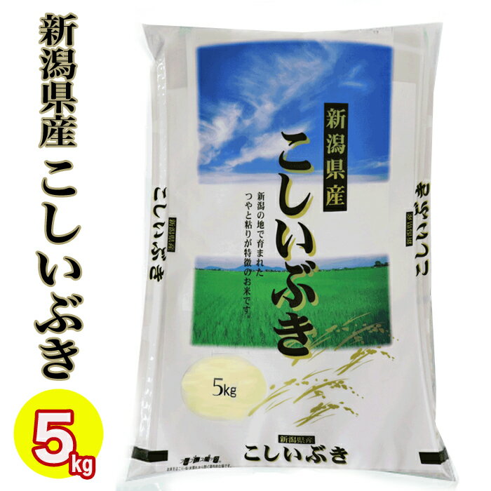 あす楽(新潟産直米) 令和2年産 新潟県産 こしいぶき 5kg （1等米使用）白米 精米 新潟 こしいぶき お米 新米 新潟 お土産 送料無料 お米 5キロ 令和2年 こしいぶき 送料無料 新潟ブランド米