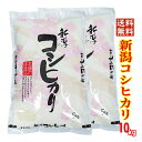 山形県 特別栽培米 コシヒカリ 米 5kg 送料無料 令和4年 こしひかり 減農薬米 お米 白米 5キロ