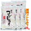 五ツ星お米マイスター厳選米☆ 令和5年産 新潟県産 コシヒカリ 25kg （5kgx5）（食味分析85点以上の精米仕立て発送）白米 精米 新潟 コシヒカリ 新潟産 コシヒカリ （産地直送米） 送料無料 お米 飲食店 お米 ギフト 低温倉庫管理　新潟 米