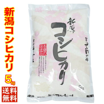 ★本日特価★（1等米） 令和3年産 新潟県産 コシヒカリ 5kg 白米 精米（食味分析80点以上の精米日の新しいお米です） 新潟 コシヒカリ 新潟産 コシヒカリ 新潟 こしひかり お米 新潟 お土産 お米 ギフト 送料無料 お米 お中元